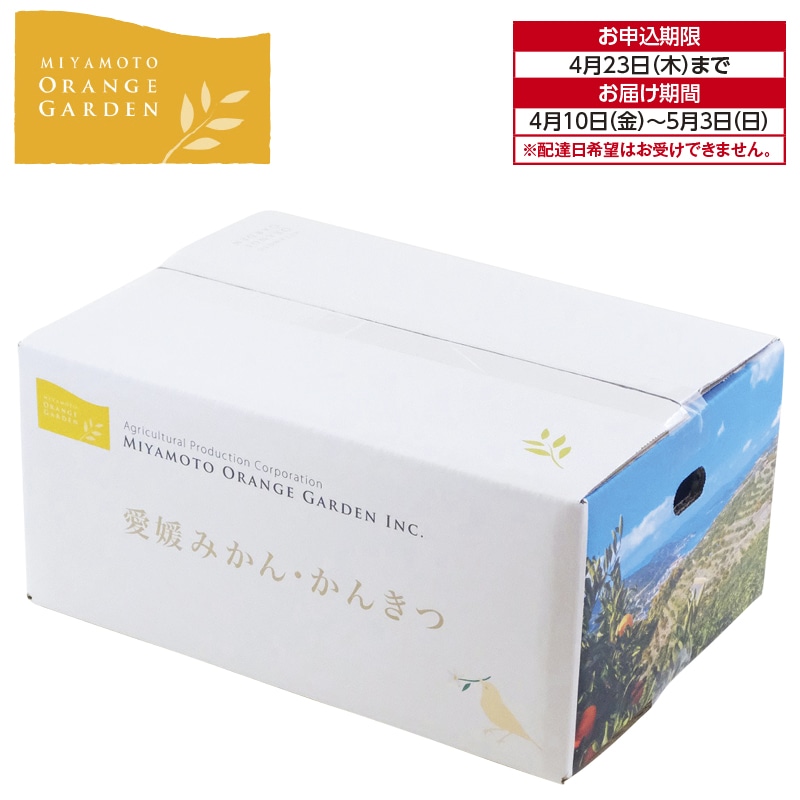 愛媛県八幡浜産 ニューサマーオレンジ 2.5kg 送料込み