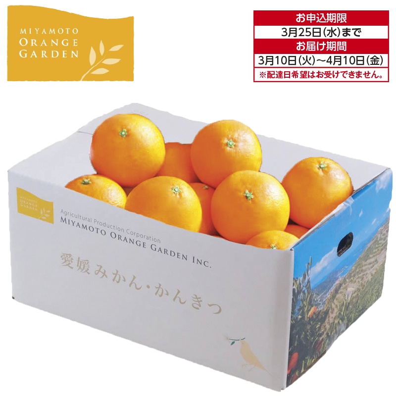 愛媛県八幡浜産 まごころプリンセス 送料込み