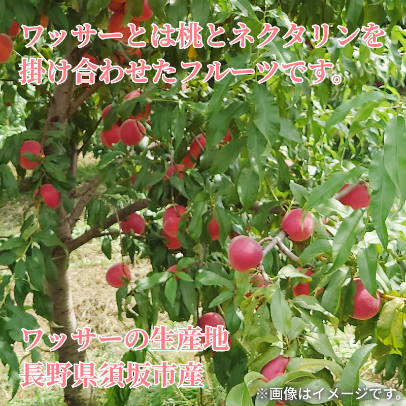 桃(ワッサークィーン) 5kg 送料込み