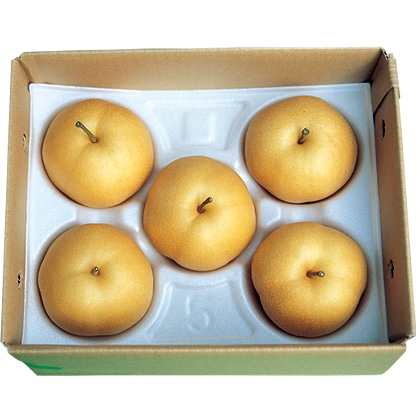 豊水梨 2kg 送料込み