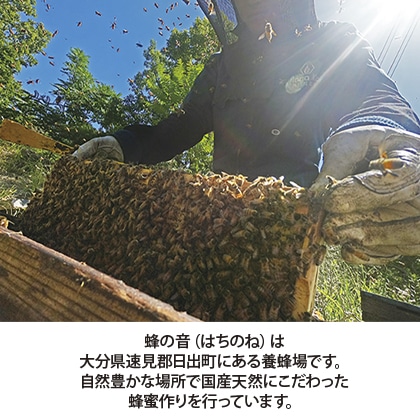 大分県産 百花蜂蜜 300g×2 送料込み