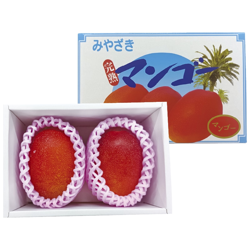 お中元 宮崎県産マンゴー900g(2個) 御中元 夏ギフト ギフト 贈答 送料込み