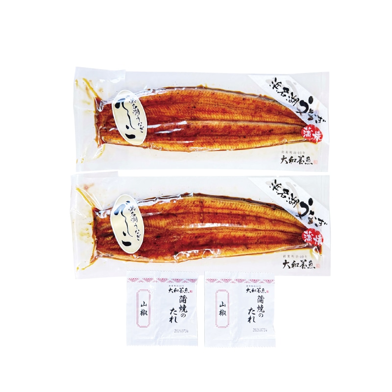 お中元 <大和養魚>浜名湖うなぎでしこ 蒲焼2本 御中元 夏ギフト ギフト 贈答 プレゼント 送料込み