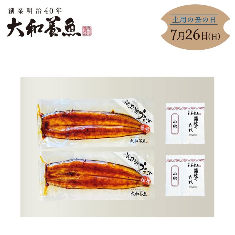 浜名湖うなぎ蒲焼 Mサイズ2本 送料込み