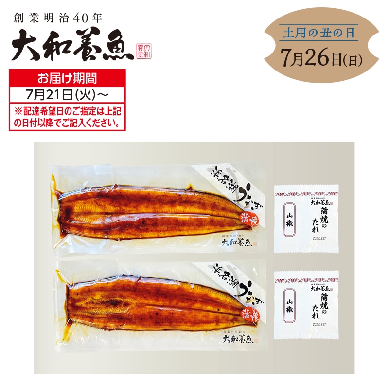 2026年新仔 浜名湖うなぎ蒲焼2本 送料込み