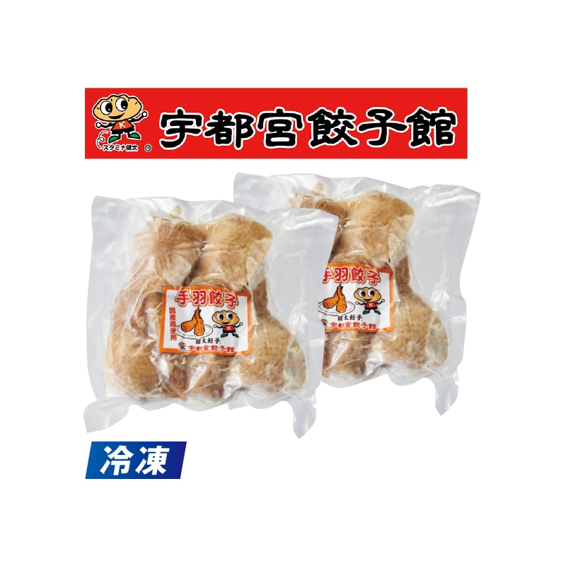 【冷凍】<宇都宮餃子館>人気の手羽餃子10本 送料込み
