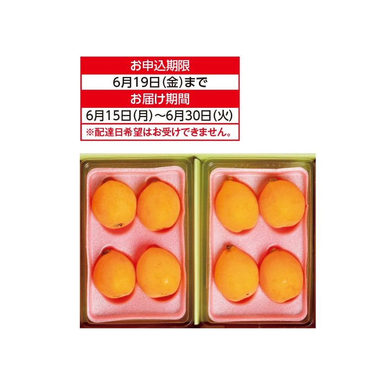 田中びわ 送料込み