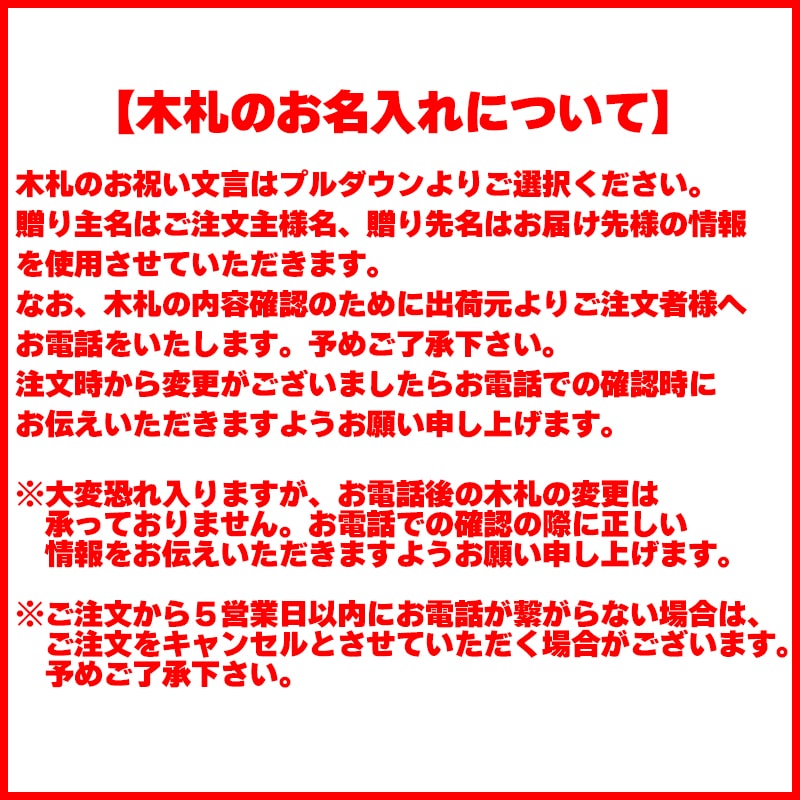 ミディ胡蝶蘭(ピンク系)2本立(木札付) 送料込み