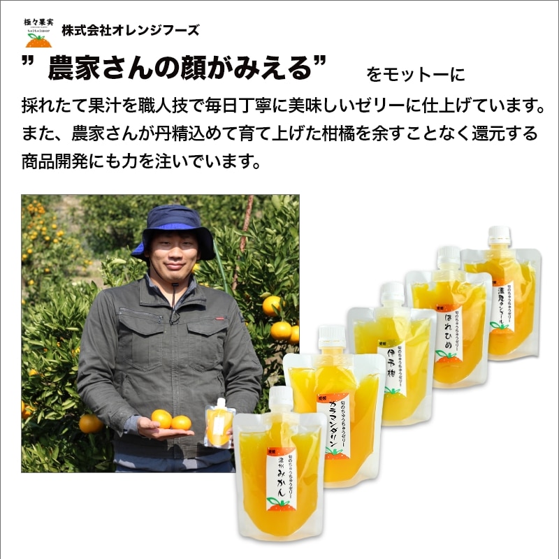 お中元 2026ちゅうちゅうゼリー5個入ギフト 送料込み