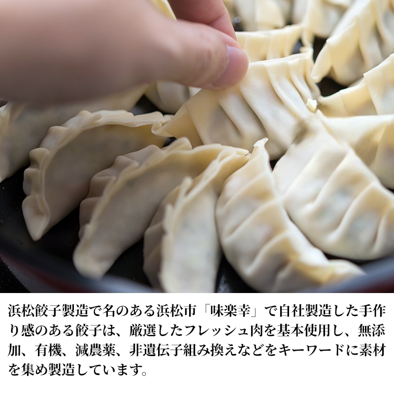 お中元 2026【冷凍】幻のコショウで食べる山ちゃん餃子 送料込み