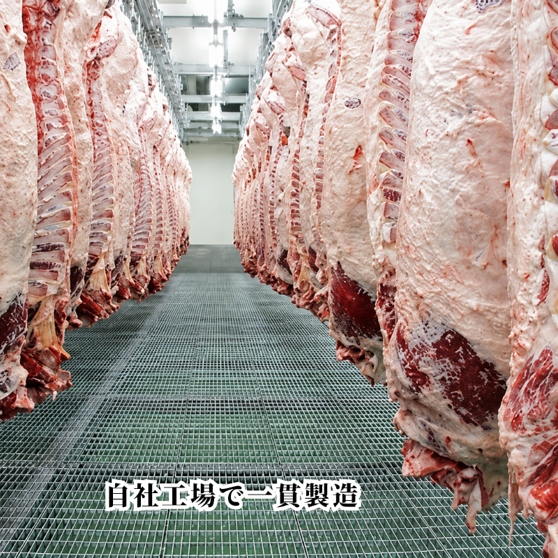 お中元 2026【冷凍】黒毛和牛入り生ハンバーグ 送料込み