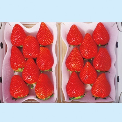 完熟朝摘み スカイベリー 送料込み