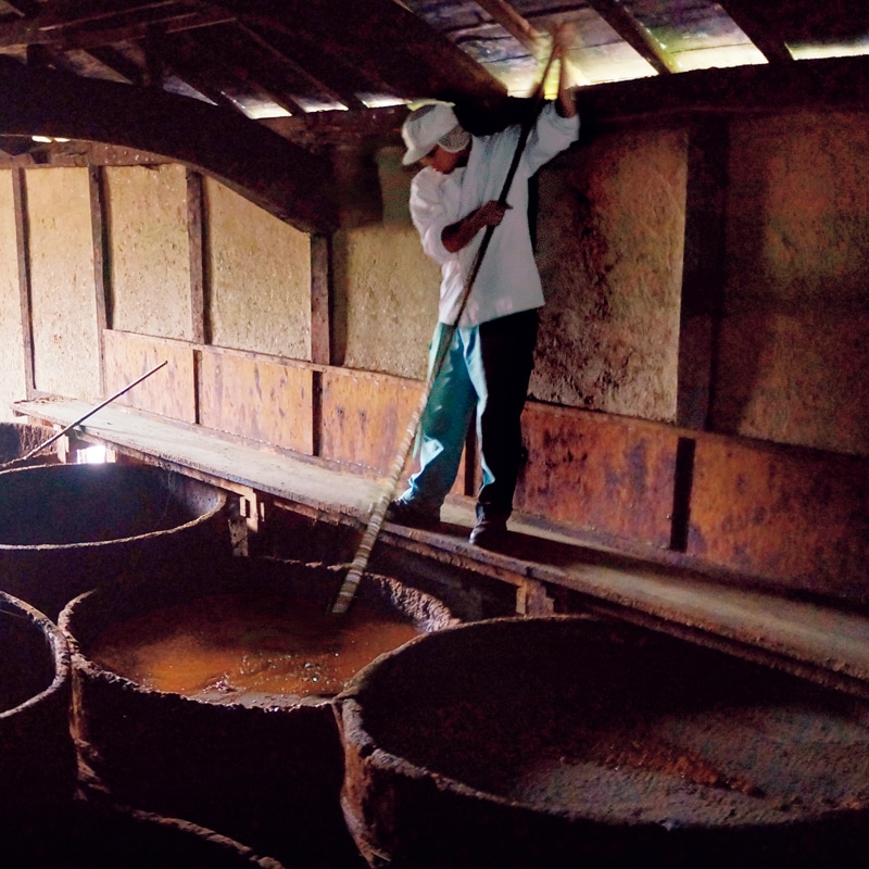 お歳暮 はさめずいろいろ8本セット 送料込み