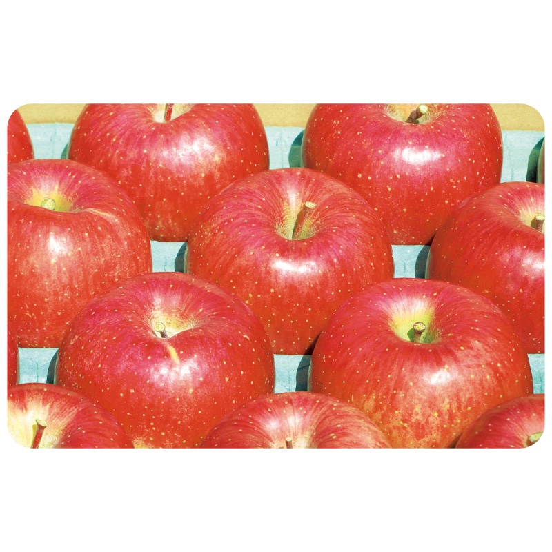 【ご贈答用】サンふじ 3kg 送料込み