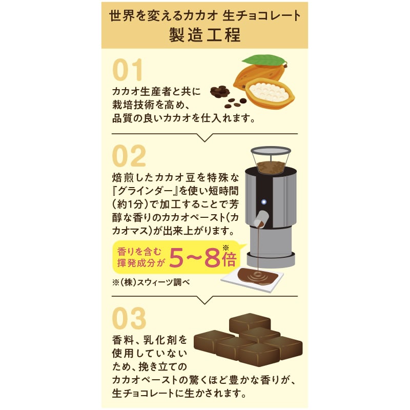世界を変えるカカオ 生チョコレート2種 送料込み バレンタイン