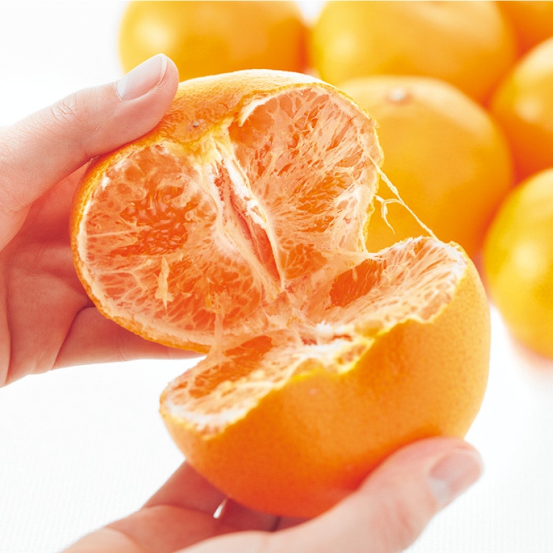 【家庭用】せとか4kg 送料込み