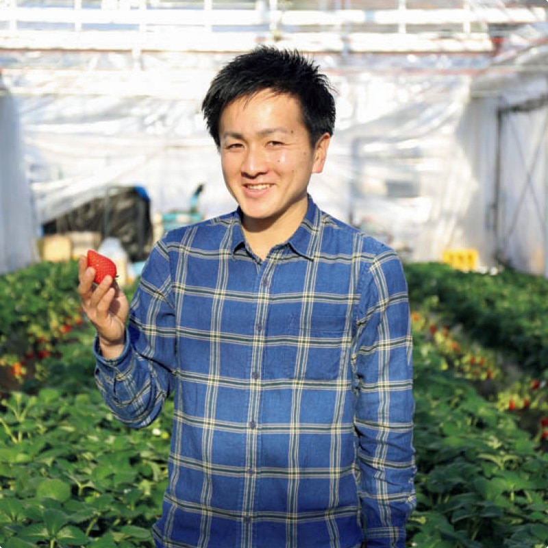 栃木のいちご4品種 食べ比べセット 送料込み