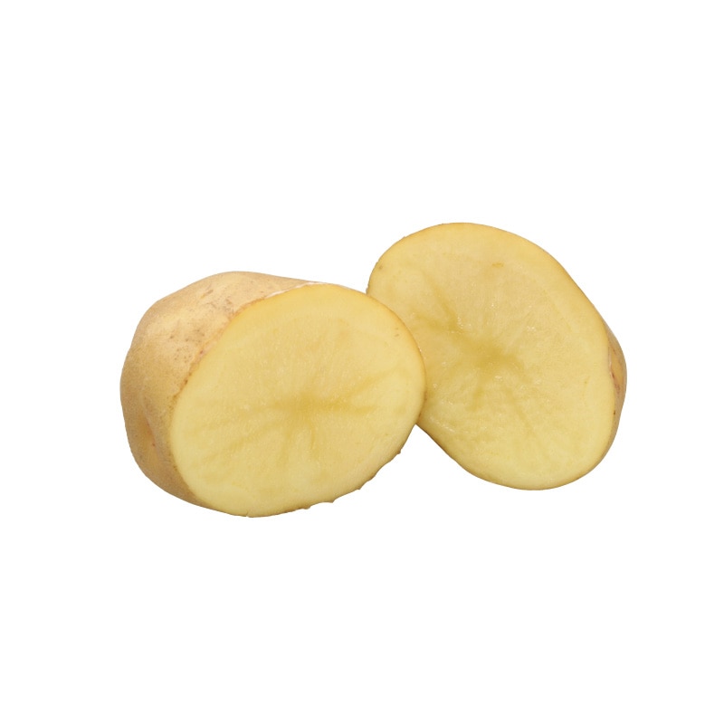 越冬 北あかり 3kg 送料込み