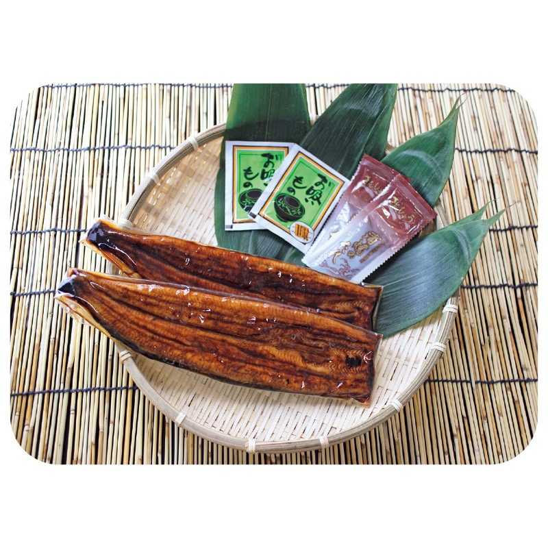 浜松・浜名湖うなぎ蒲焼2人前(110g×2) 送料込み