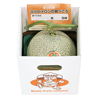 富良野メロン 1.6kg(1個) 送料込み