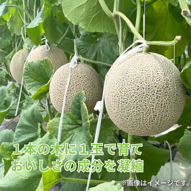 マスクメロン 2個入 送料込み