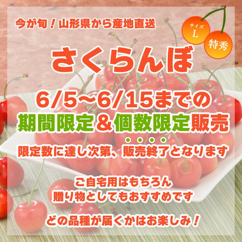 【バイヤーいち押し!】産地直送 山形のさくらんぼ 500g