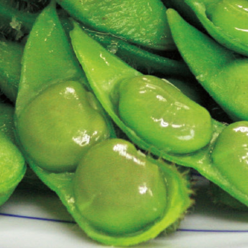 簡単レンジでチンする白山だだちゃ豆 送料込み