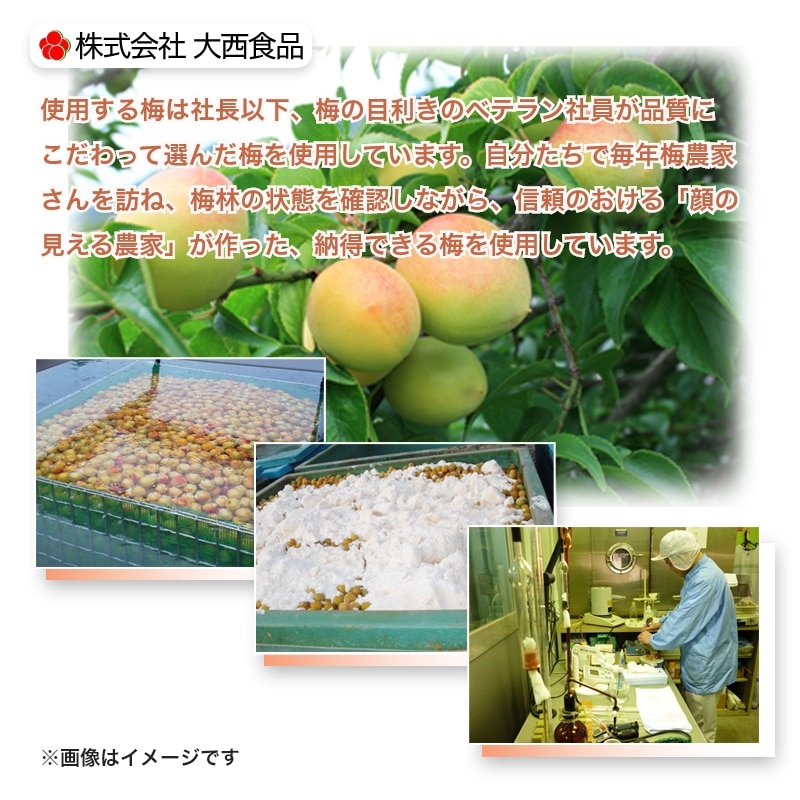 大西食品 紀州南高梅はちみつ漬梅干(塩分約3%) 4箱 送料込み