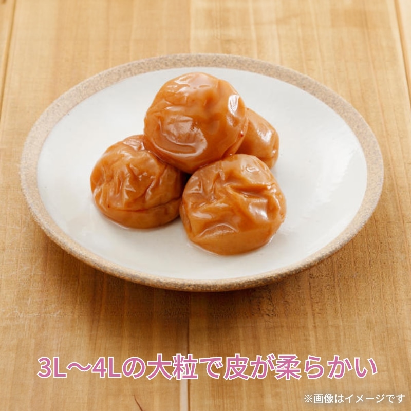 紅梅園 まろやかはちみつ南高梅 2箱 送料込み