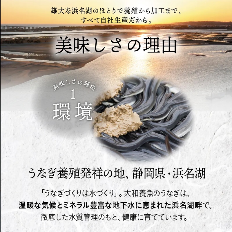 浜名湖うなぎ蒲焼ハーフカット4袋 送料込み