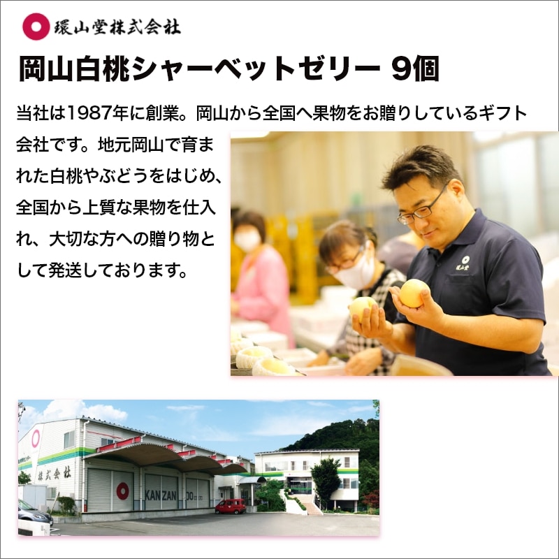 お中元 2026岡山白桃シャーベットゼリー 9個 送料込み