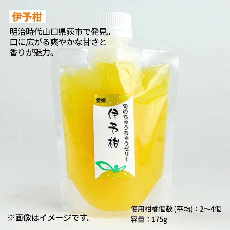ちゅうちゅうゼリー6個入 送料込み