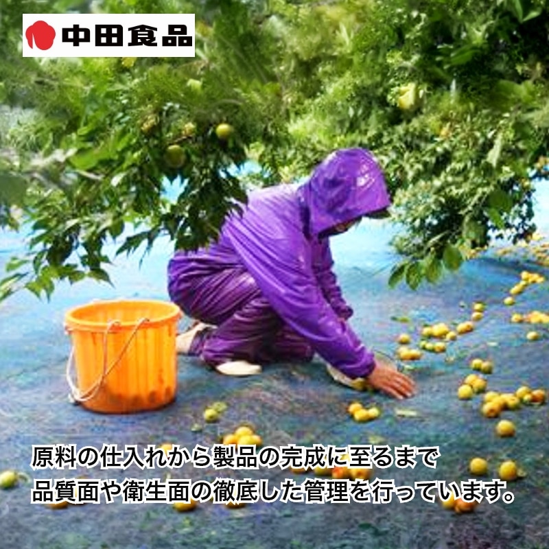 中田食品 紀州の完熟南高梅 減塩はちみつ梅 2箱 送料込み