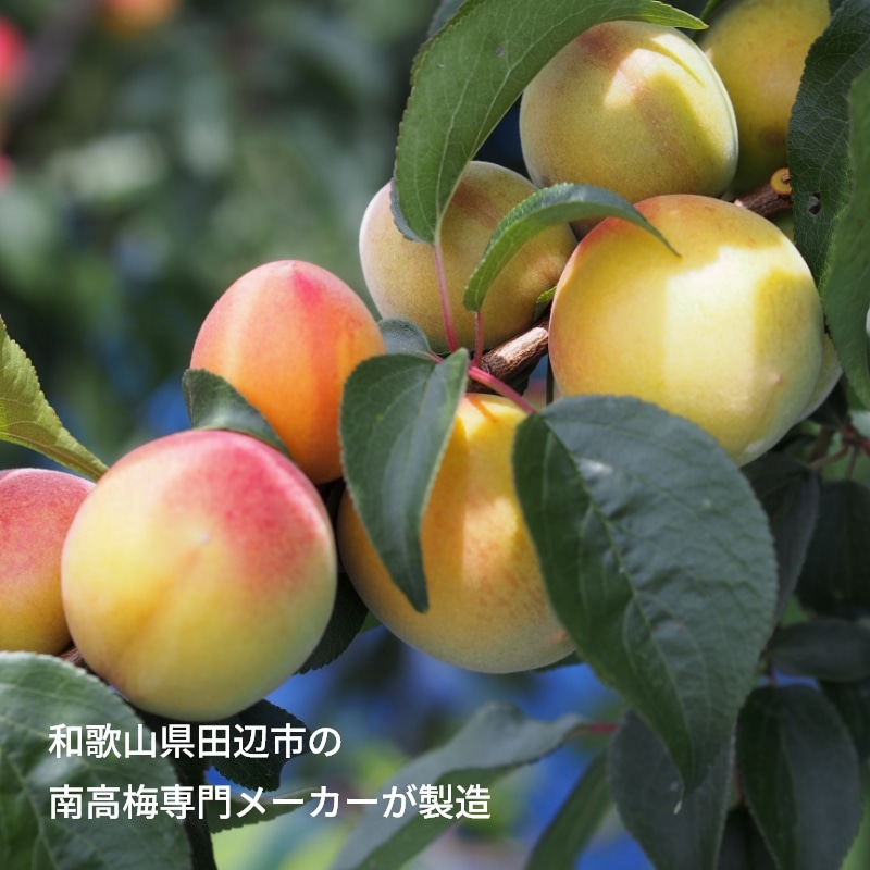 紅梅園 まろやかはちみつ南高梅 送料込み