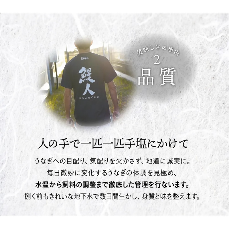 浜名湖うなぎ蒲焼ハーフカット4袋 送料込み