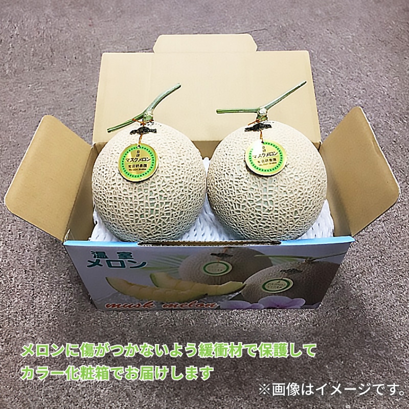 ビッグマスクメロン 2個入 送料込み