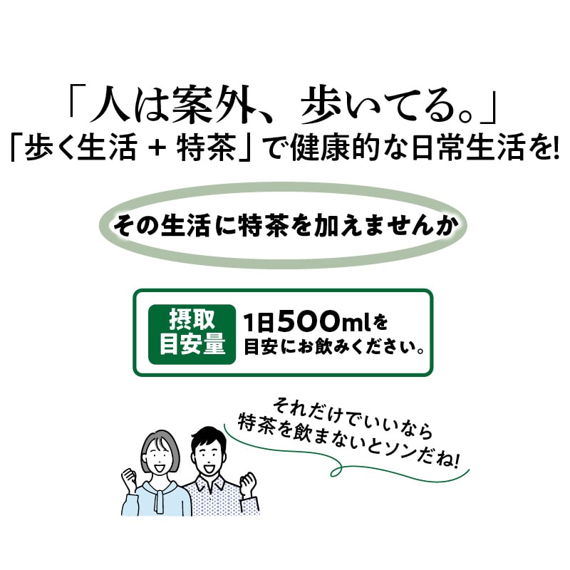 〈サントリー〉伊右衛門 特茶 送料込み