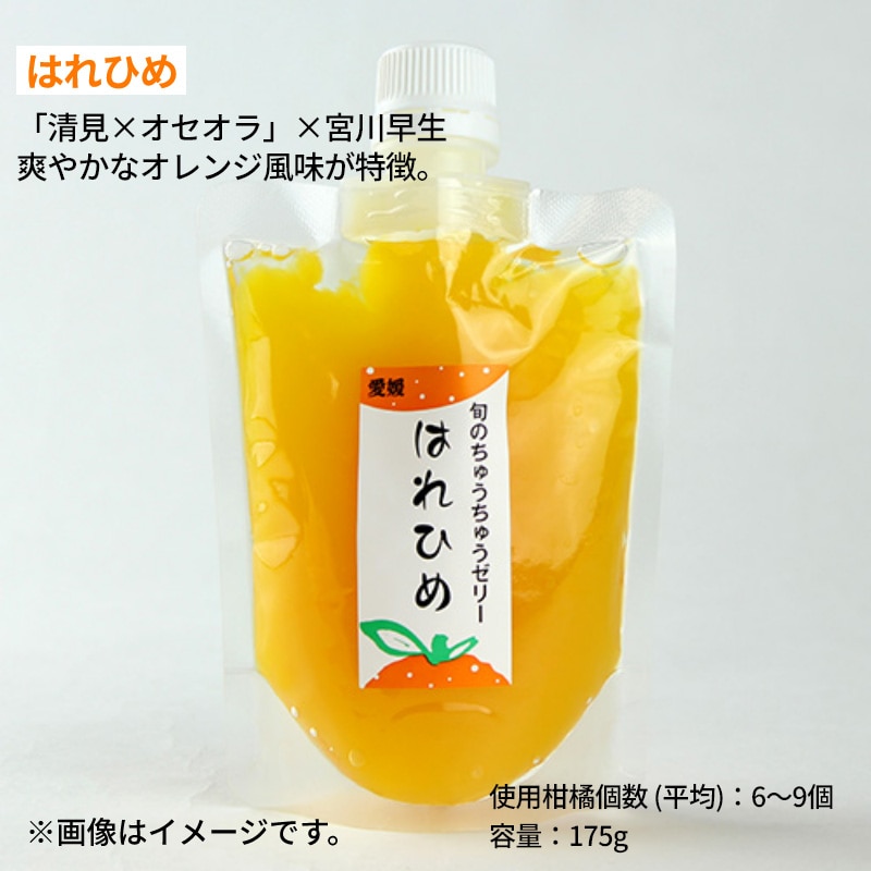 画像8