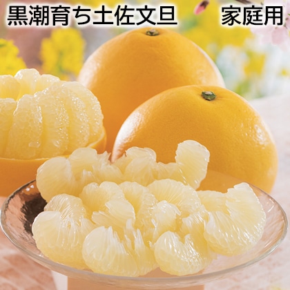黒潮育ち土佐文旦 家庭用 送料込み