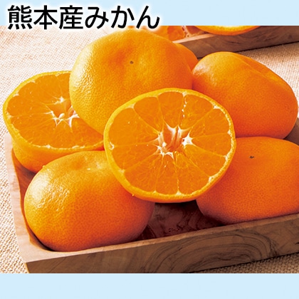 熊本産みかん 送料込み