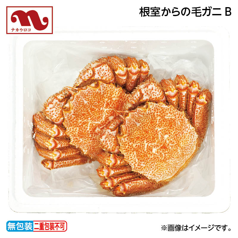 お歳暮 根室からの毛ガニA 送料込み