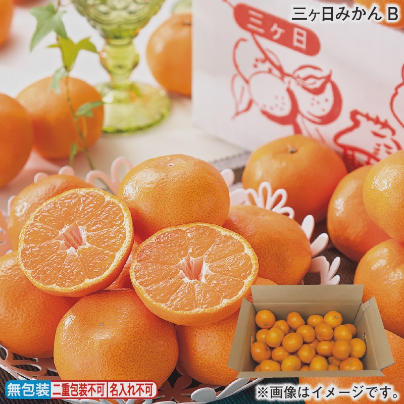 お歳暮 三ヶ日みかんB 冬ギフト 送料込み