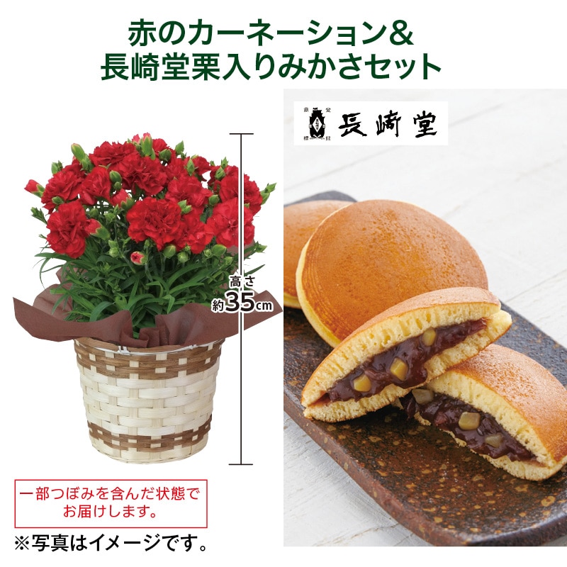 母の日 赤のカーネーション+長崎堂栗入りみかさセット 送料込み