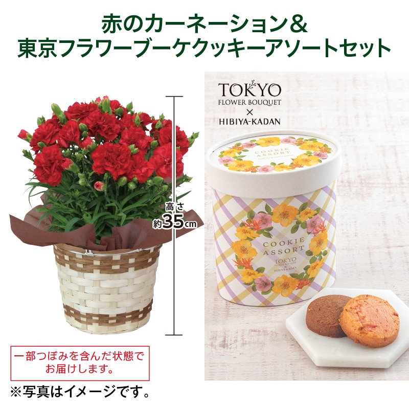 母の日 赤のカーネーション+東京フラワーブーケクッキーアソートセット 送料込み