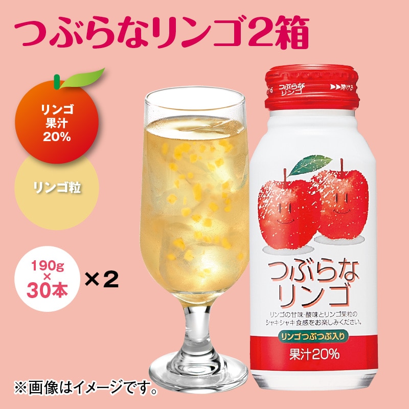つぶらなリンゴ2箱 ドリンク 飲料