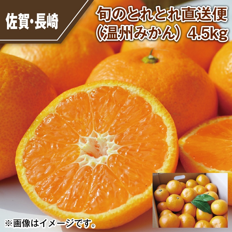 旬のとれとれ直送便(温州みかん) 4.5kg 送料込み