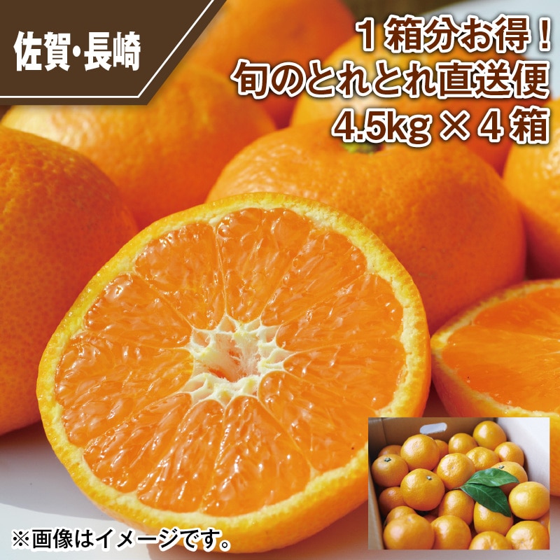 1箱分お得!旬のとれとれ直送便 4.5kg×4箱 送料込み