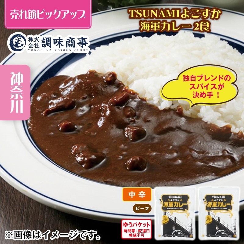 TSUNAMI よこすか海軍カレー 2食 送料込み