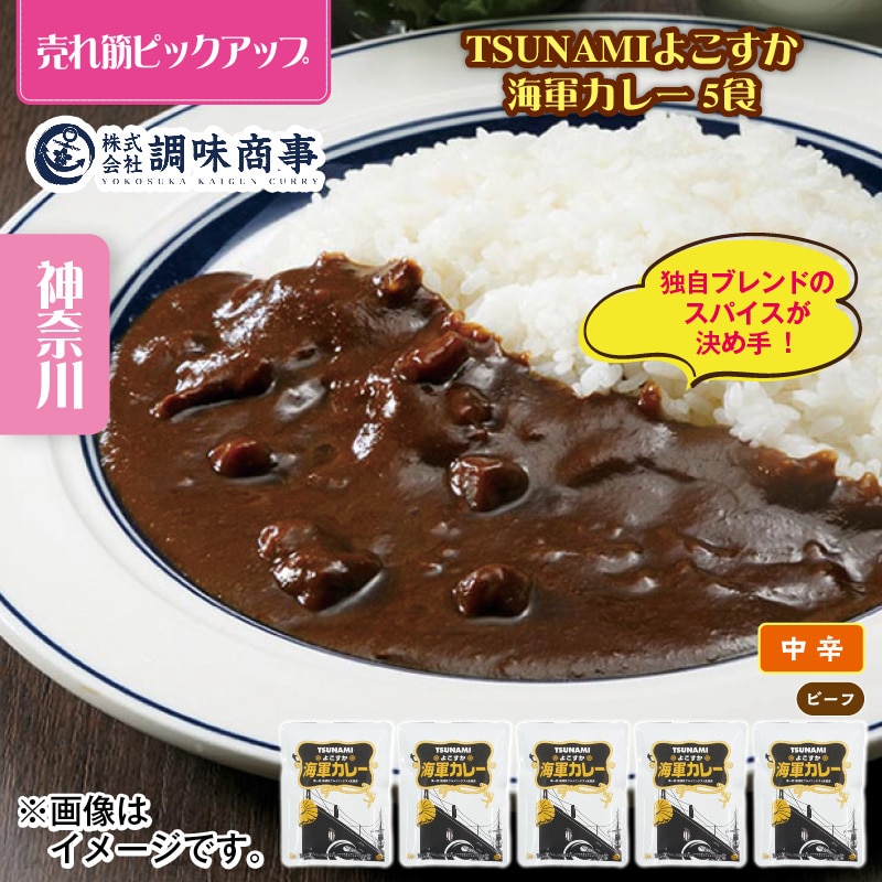 TSUNAMI よこすか海軍カレー 5食 送料込み