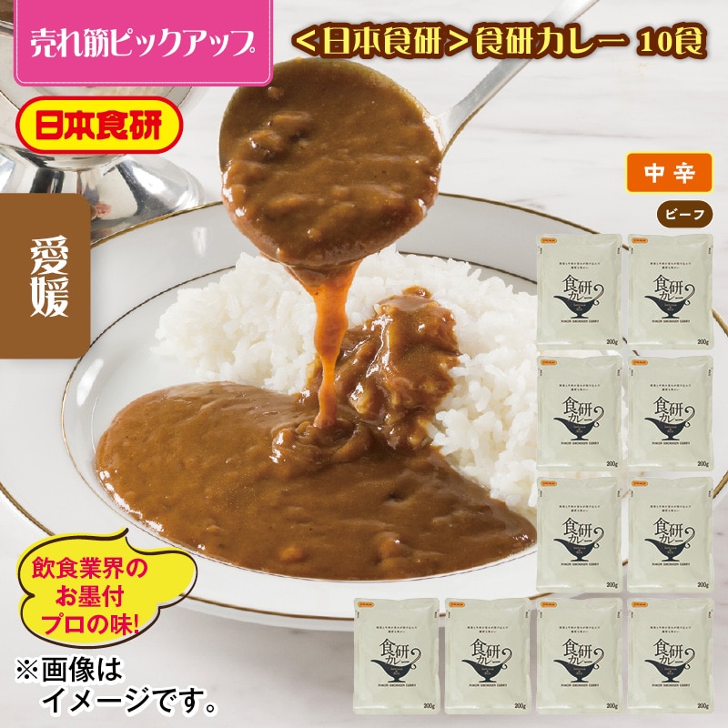 <日本食研>食研カレー 10食 送料込み